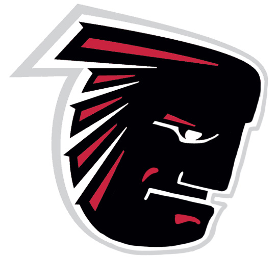 Atlanta Falcons Manning Face Logo DIY iron on transfer (heat transfer)